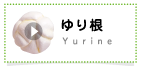 ゆり根