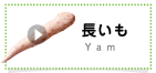 長いも